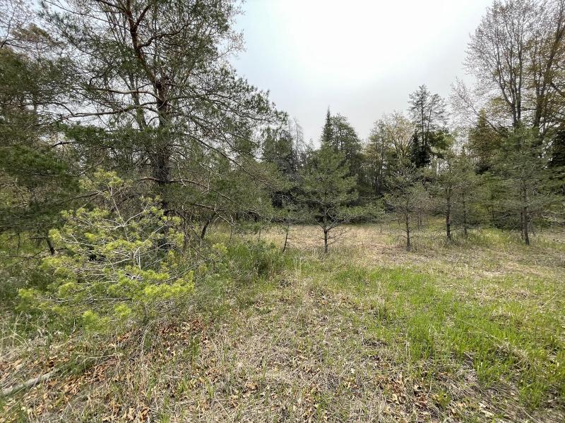 Listing Photo for Ryan Road 3 ACRES