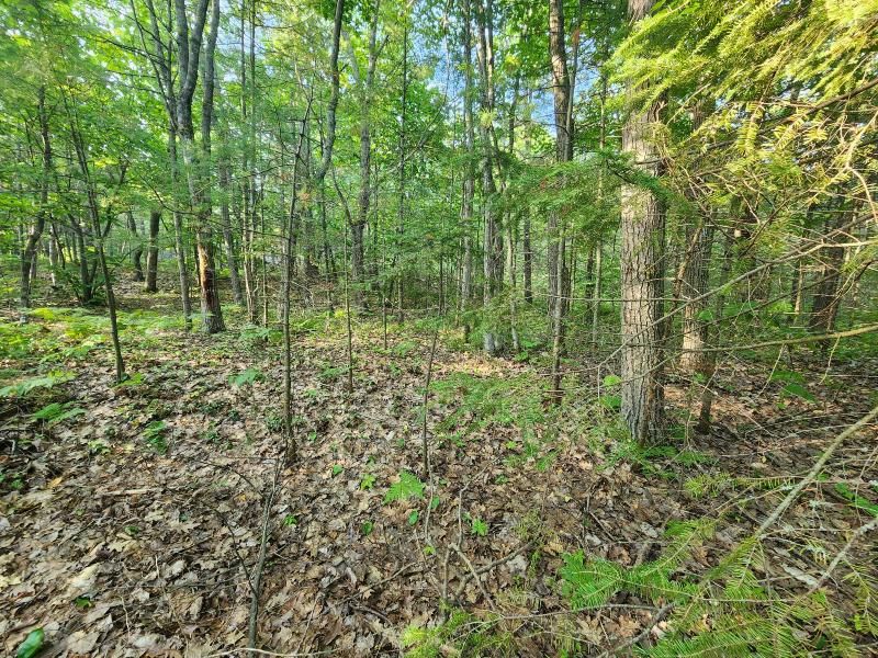 Listing Photo for 8120 Cordwood Trail