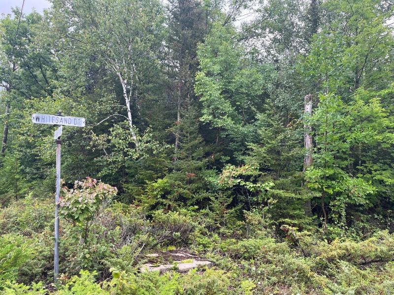 Listing Photo for LOT 187 Pineview Drive