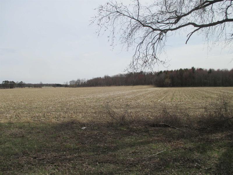 41 ACRES State Rd 82 Oxford, WI 53952