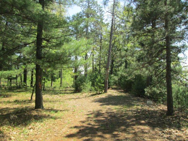 23.24 AC 20th Ave Arkdale, WI 54613