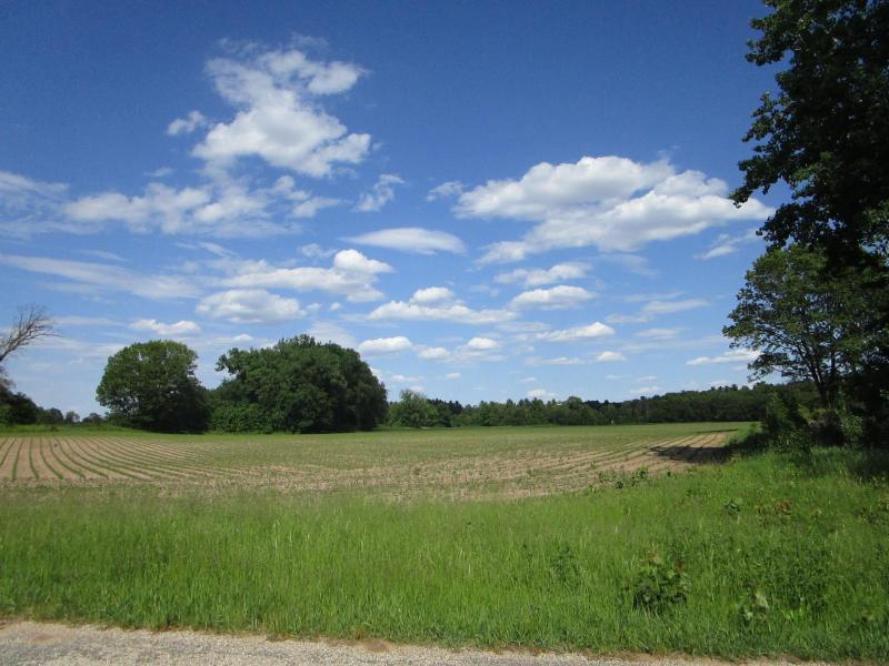 LOT 1 Cottonville Dr & 20th Ave Arkdale, WI 54613