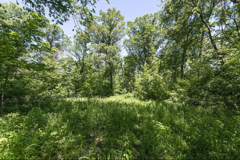 27 ACRES Bluff Rd Greenfield, WI 53913