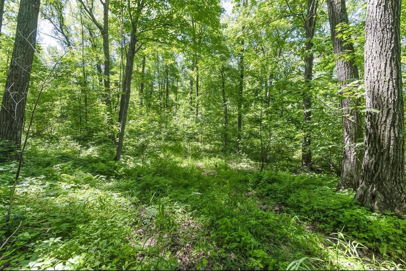 27 ACRES Bluff Rd Greenfield, WI 53913