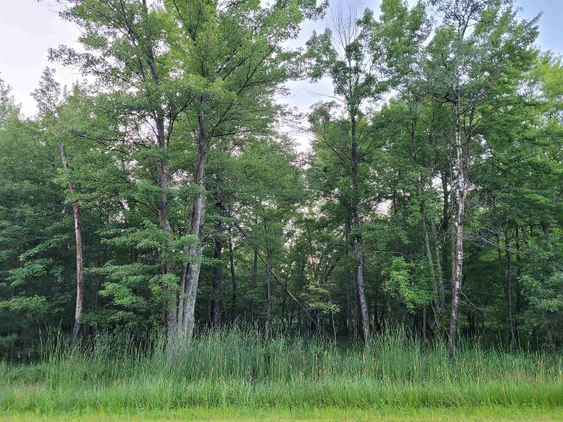 9.82 ACRES County Road A New Lisbon, WI 53950