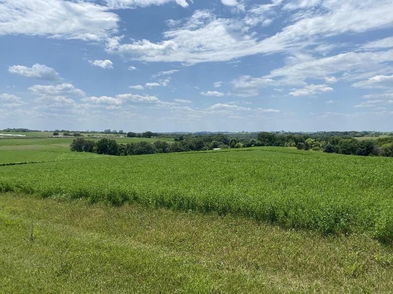 LOT 1 Tomnan Rd Blue Mounds, WI 53517