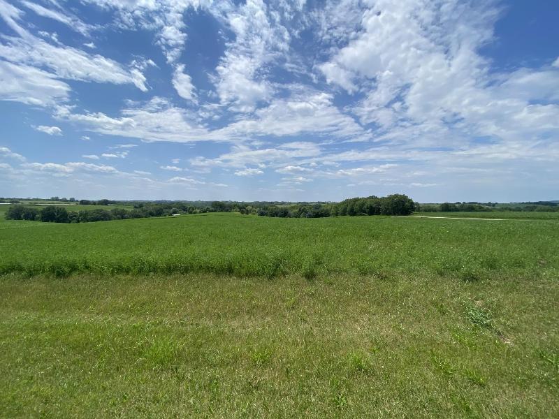 LOT 1 Tomnan Rd Blue Mounds, WI 53517