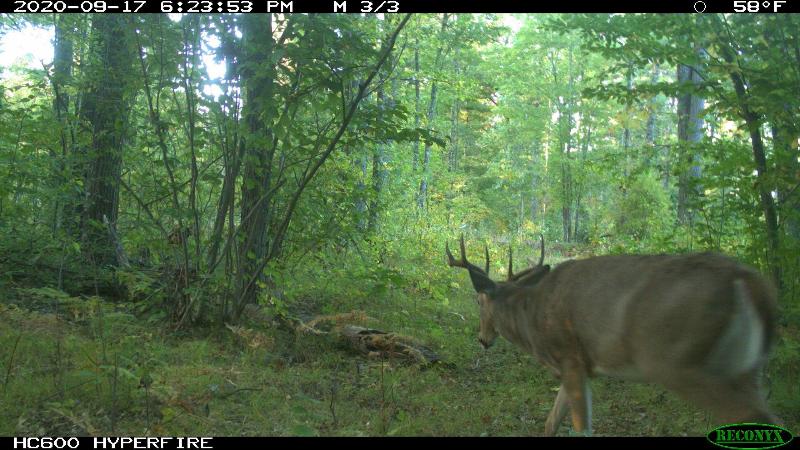 Photo -46 - 163 +/- AC County Road C Stevens Point, WI 54481