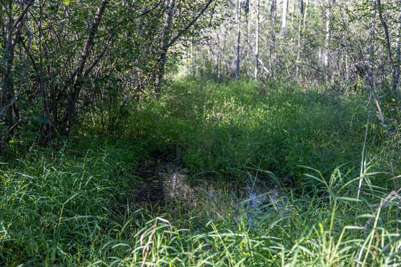 163 +/- AC County Road C Stevens Point, WI 54481