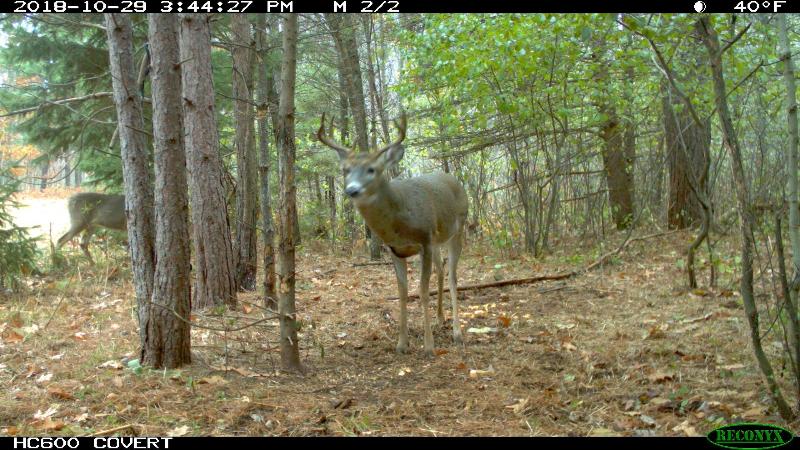 163 +/- AC County Road C Stevens Point, WI 54481