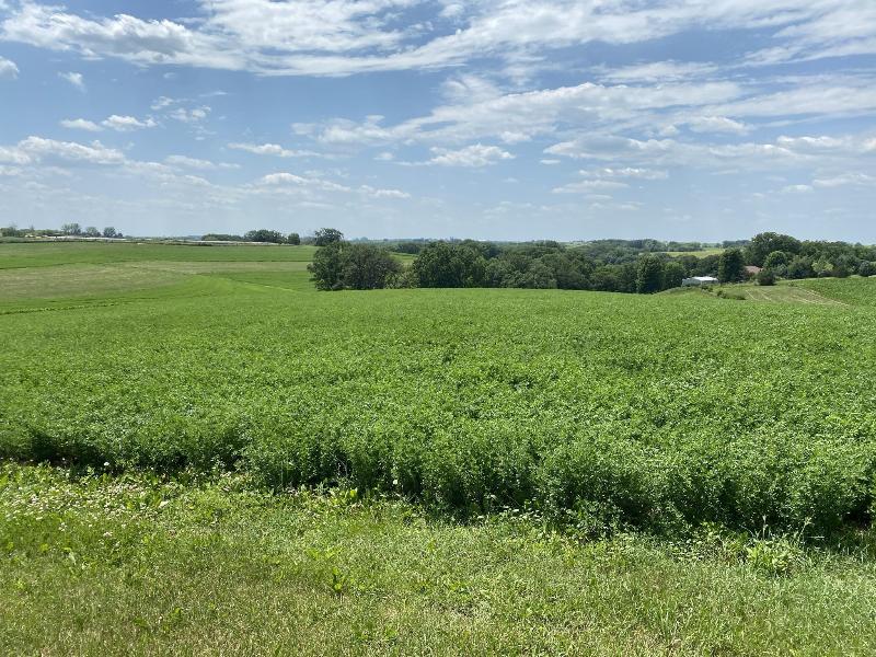 LOT 2 Tomnan Rd Blue Mounds, WI 53517