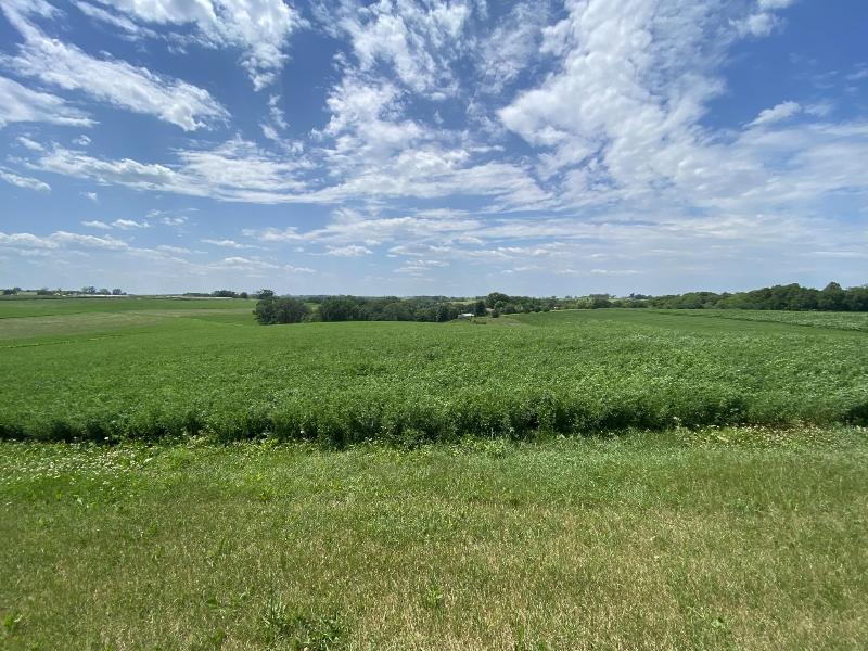 LOT 2 Tomnan Rd Blue Mounds, WI 53517