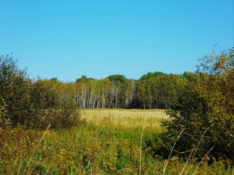 20.13 AC County Road Cm Tomah, WI 54660