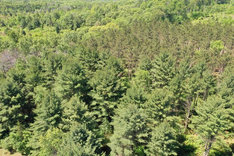 10 +/- ACRES Town Hall Rd Lyndon Station, WI 53944
