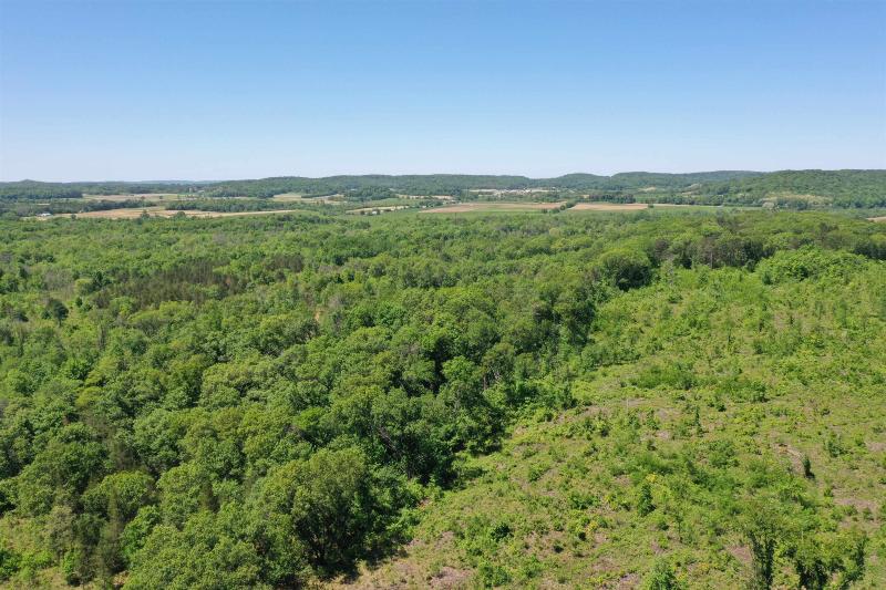 10 +/- ACRES Town Hall Rd Lyndon Station, WI 53944