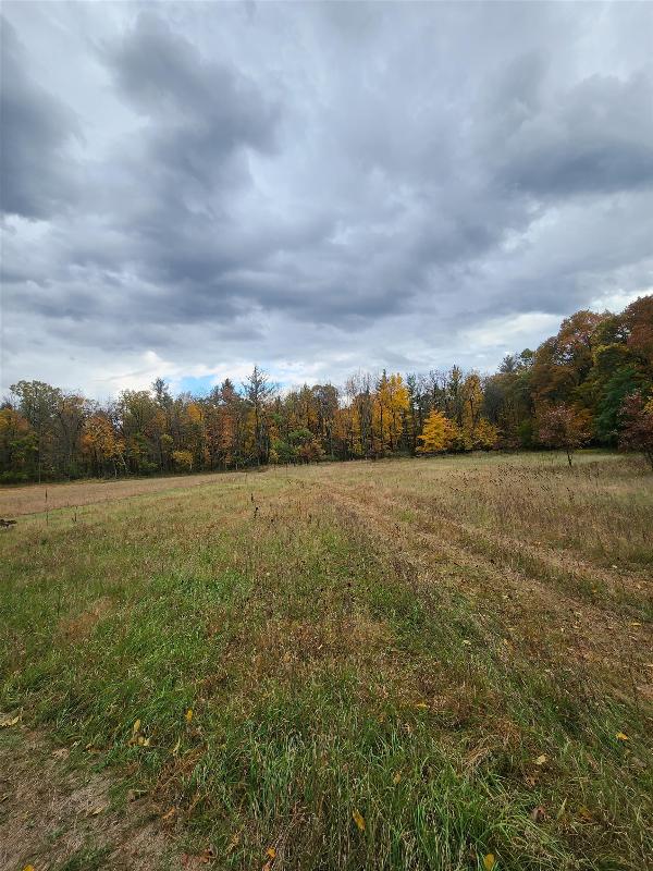 76 ACRES 18th Ave Arkdale, WI 54613