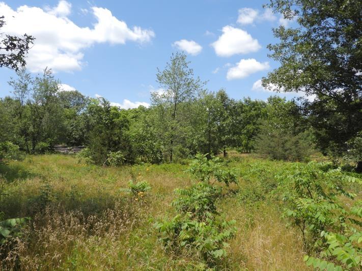 Photo -31 - 9+ ACRES Hwy 21 Coloma, WI 54930