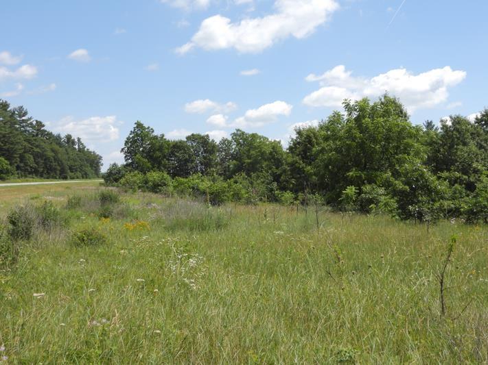 9+ ACRES Hwy 21 Coloma, WI 54930