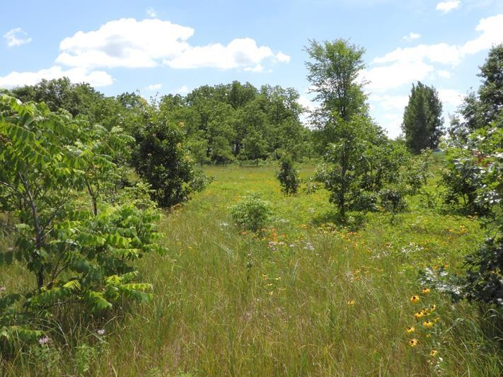 9+ ACRES Hwy 21 Coloma, WI 54930
