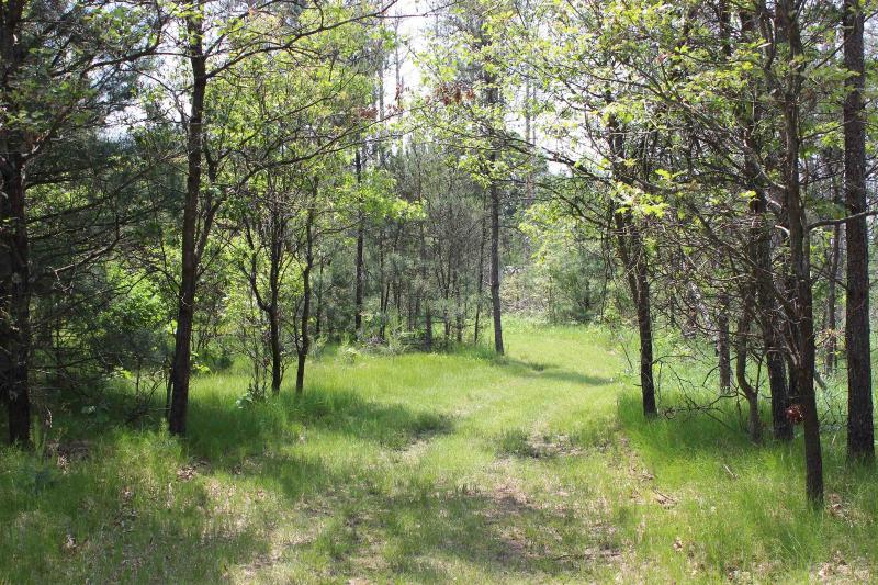 LOT 2 15th Ave Arkdale, WI 54613