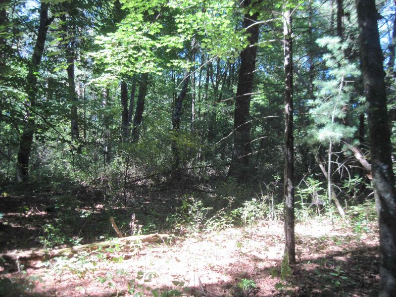 2.74 ACRES 15th Dr Arkdale, WI 54613