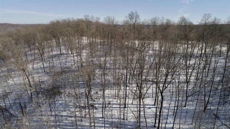 65.834 AC County Road S Blue River, WI 53518