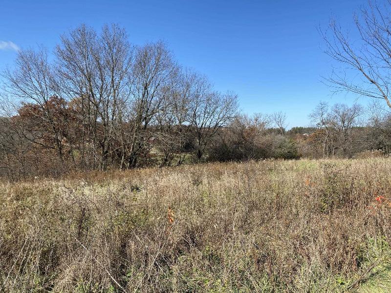 .97 ACRES E Lake Rd Mineral Point, WI 53565