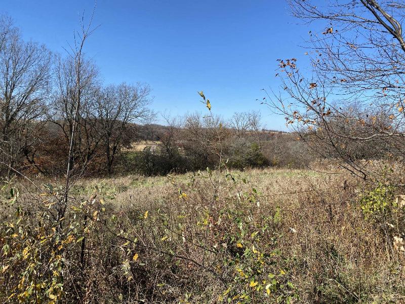 .97 ACRES E Lake Rd Mineral Point, WI 53565