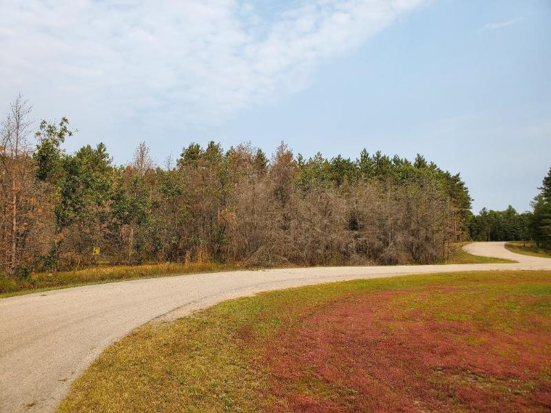 2.98 ACRES W 16th Ct Arkdale, WI 54613