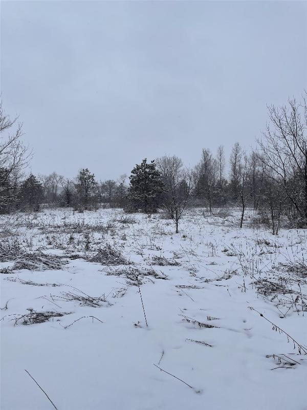 LOT 30 Lakeview Dr Packwaukee, WI 53953
