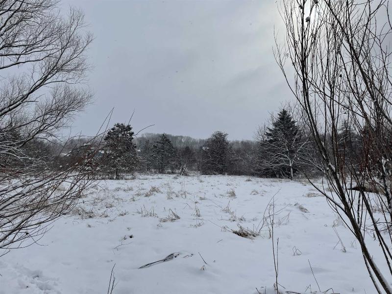 LOT 30 Lakeview Dr Packwaukee, WI 53953