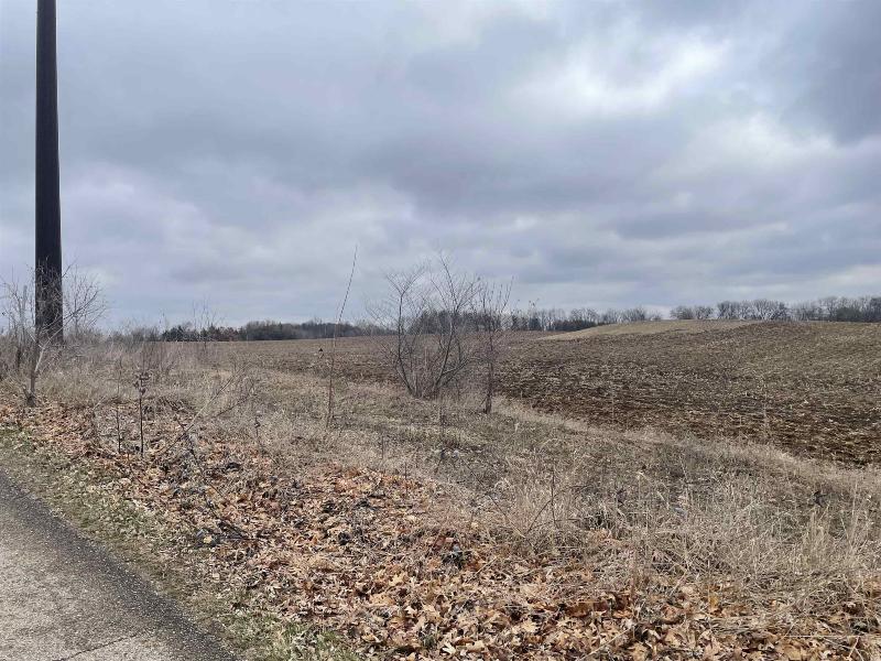 60 ACRES Siggelkow Road McFarland, WI 53558