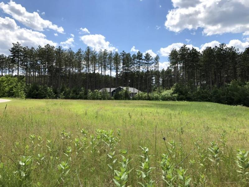 LOT 38 Red Pine Road Baraboo, WI 53913