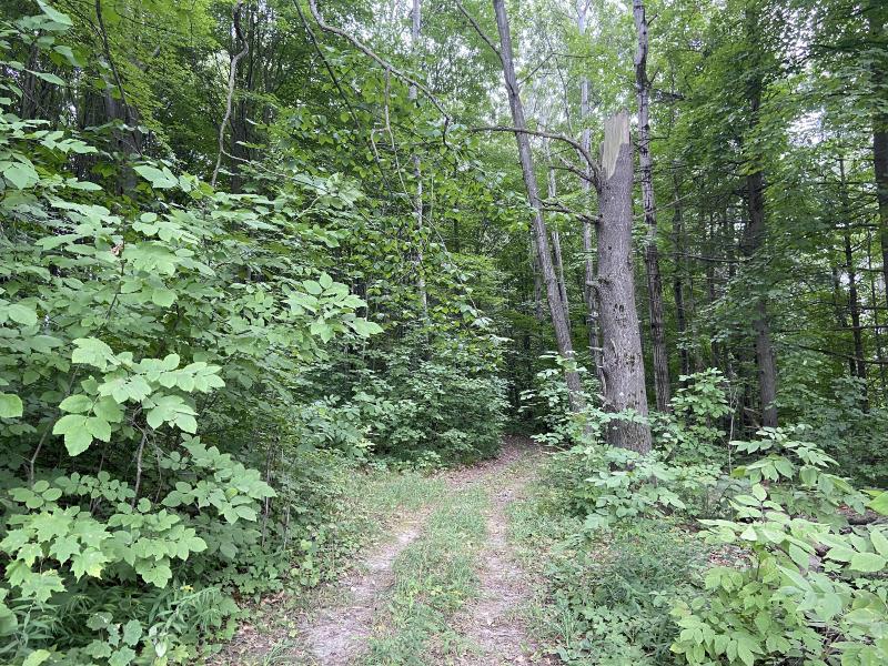 Listing Photo for 2.8 ACRES Taylor