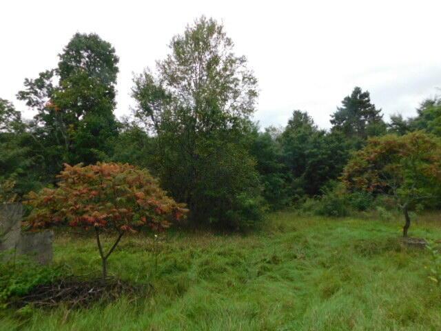 Listing Photo for 11201 Marilla Road PARCEL 7