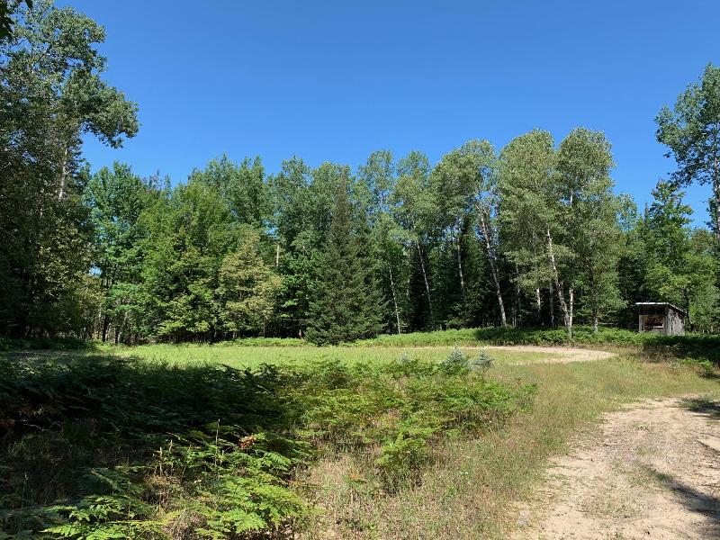 Listing Photo for Goslow Road 20 ACRES