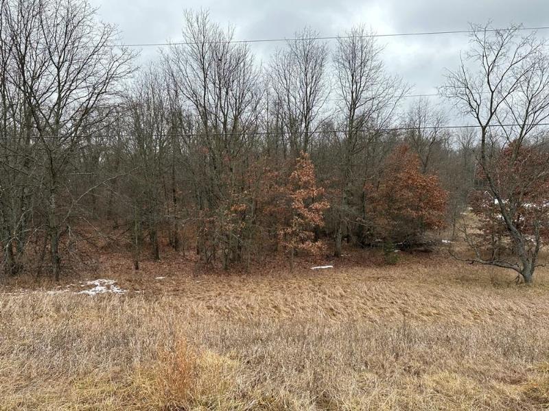 Listing Photo for 5.37 ACRES W M61