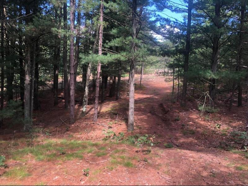 Listing Photo for 0 Crystal Lake Road 4.05 ACRES