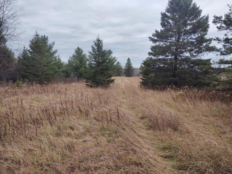 Listing Photo for S Black River Road/F05 79 ACRES