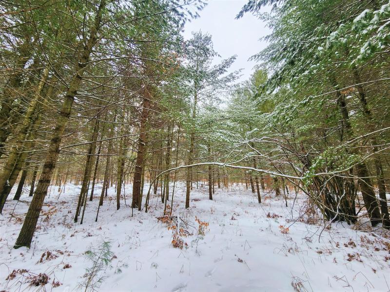 Listing Photo for LOT 44 Woodwind Drive