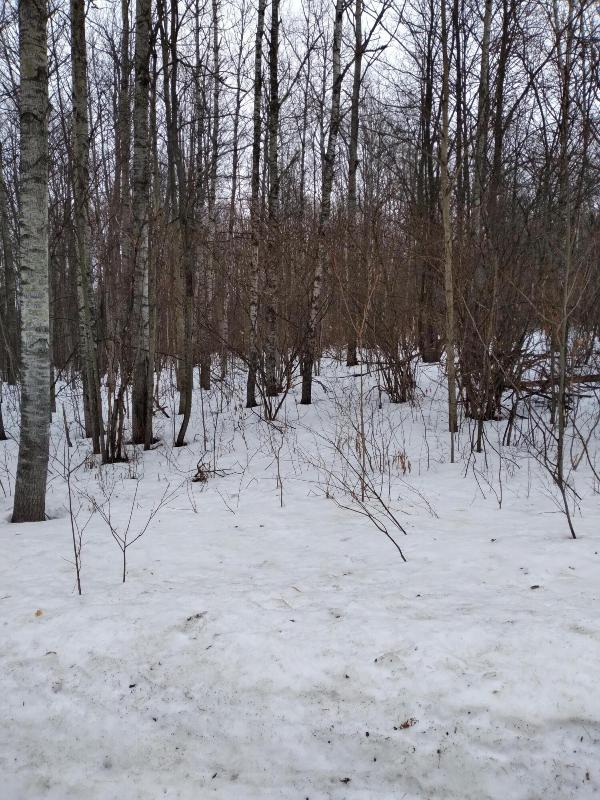 Listing Photo for LOT # 340 Wilderness Drive