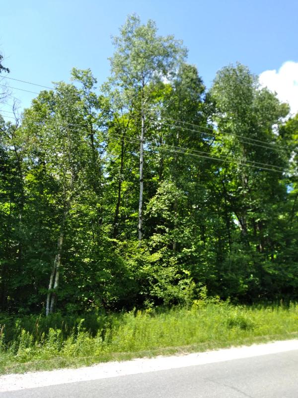 Listing Photo for Pineview Drive LOT 527