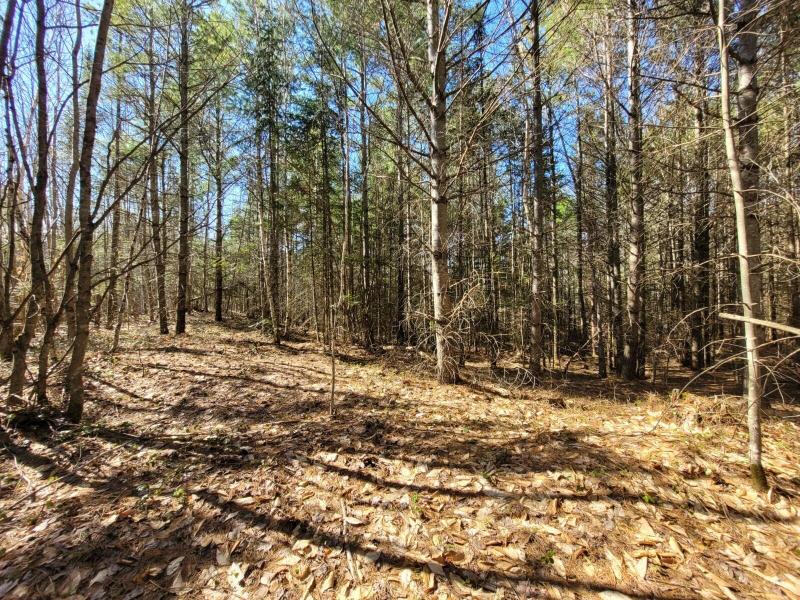 Listing Photo for Bates Road 16 ACRES