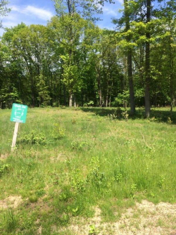 Listing Photo for Misty Pines Lot 24