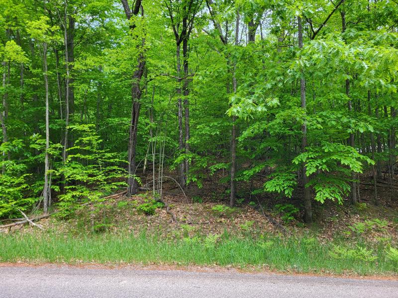 Listing Photo for LOT 304 Michaywe Drive