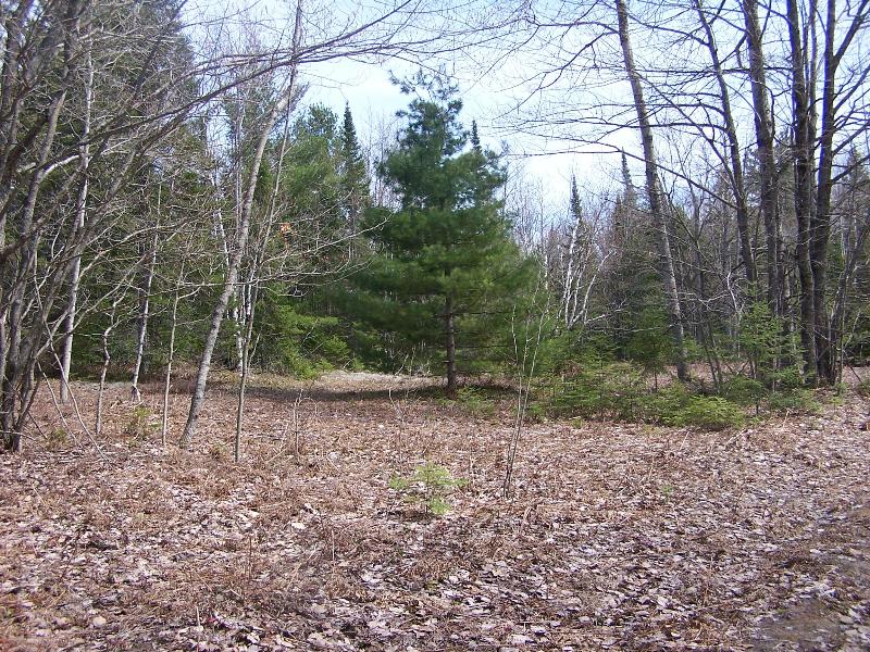 Listing Photo for Mast Point Road 40 ACRES