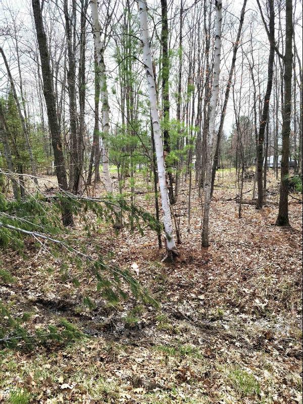 Listing Photo for LOT #43 Pineway