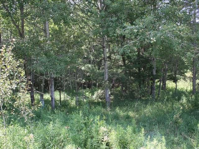 Listing Photo for 1.08 ACRES N Clare