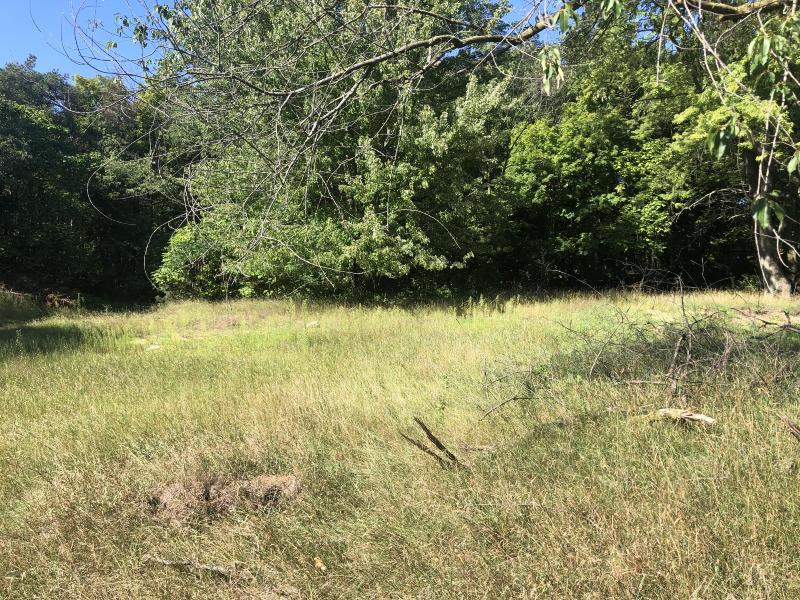 Listing Photo for 0 146th Avenue LOT G