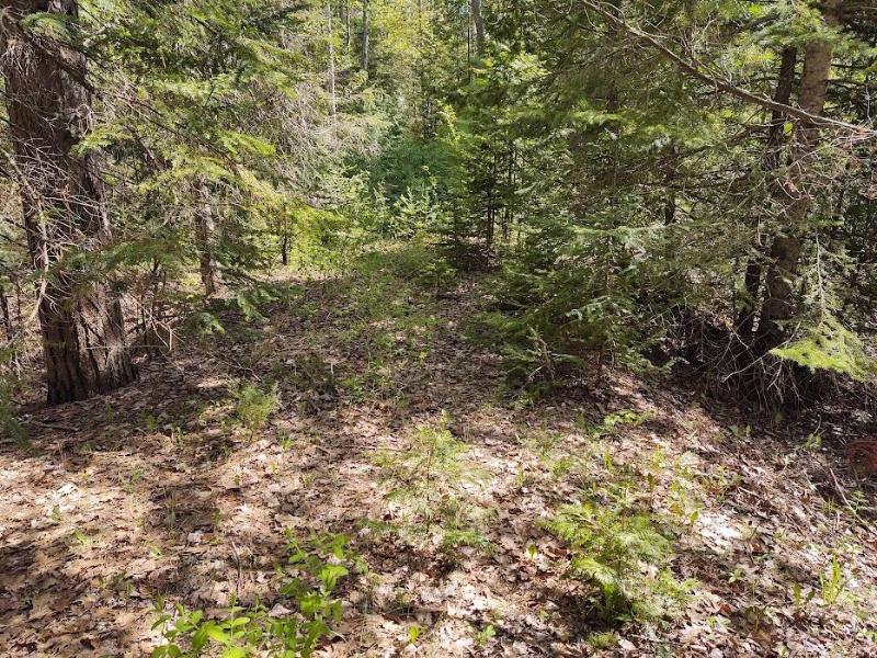 Listing Photo for Beach Road LOTS 24, 25, 26, 27 + 17 ACRES